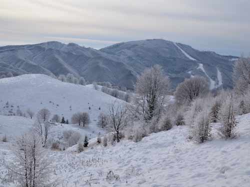 Foto Mogosa, vedere din Poiana Boului (c) Lucian Petru Goja